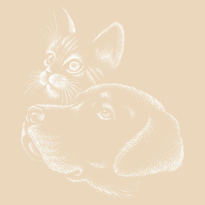 Zeichnung von Katze und Hund