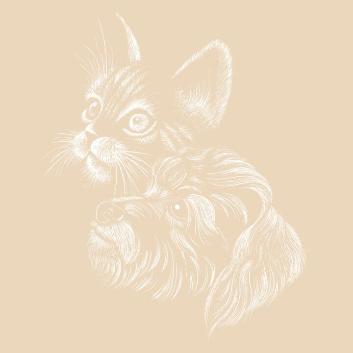 Zeichnung von Katze und Hund